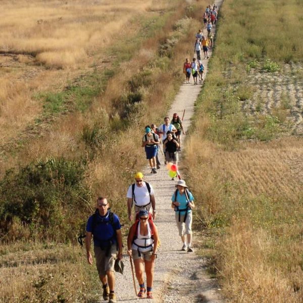 VTT marche au Sart